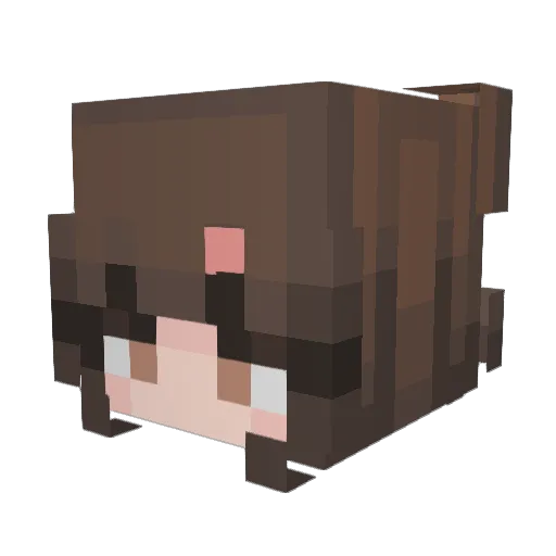 TifTornado Minecraft avatar head, 3D render