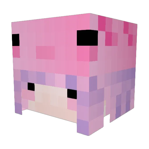 TiffanyDOGs Minecraft avatar head, 3D render
