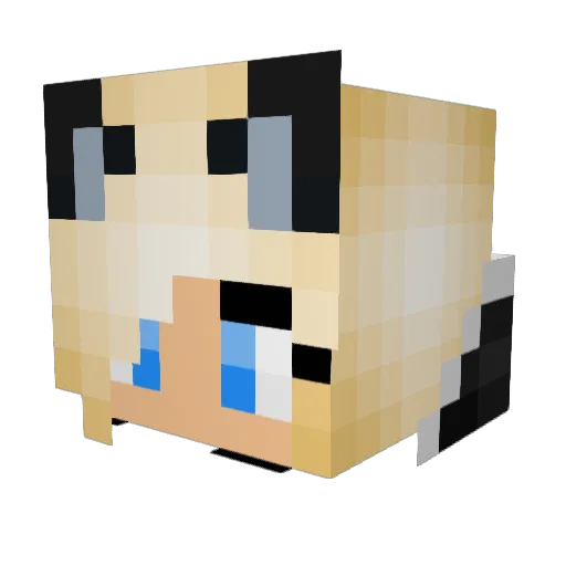 Tiffanyquake Minecraft avatar head, 3D render