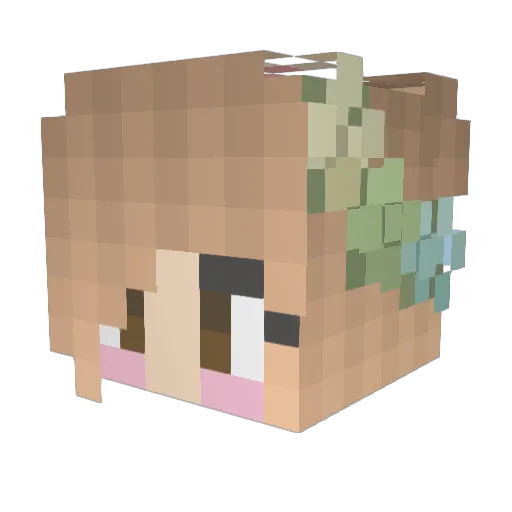 Tiffie_Turtle Minecraft avatar head, 3D render