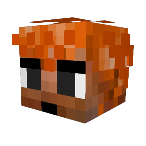 Tiffy91 Minecraft avatar head, 3D render