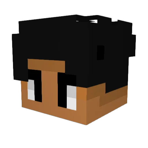 Tiffy_17 Minecraft avatar head, 3D render