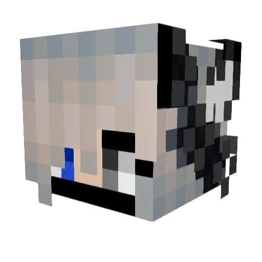 Tiffy_xx Minecraft avatar head, 3D render