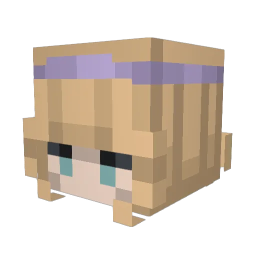 Tifitx Minecraft avatar head, 3D render