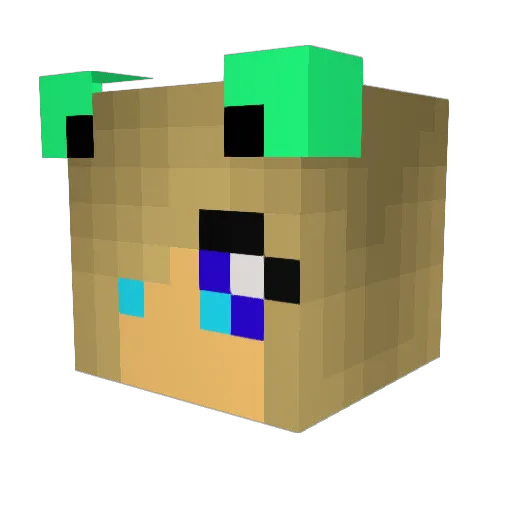 Tifrusha Minecraft avatar head, 3D render
