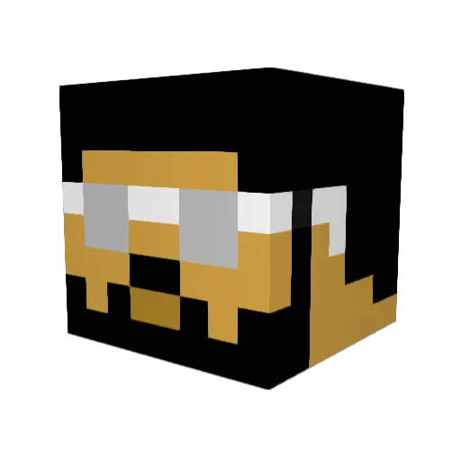 Tig3r81 Minecraft avatar head, 3D render