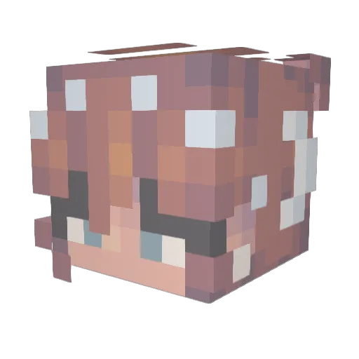 Tig3rFox Minecraft avatar head, 3D render