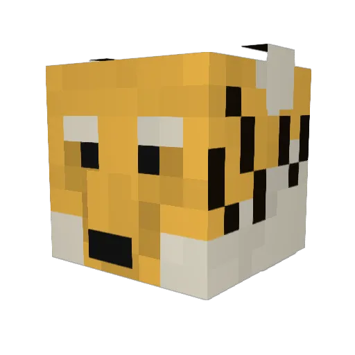 TigR_dk Minecraft avatar head, 3D render