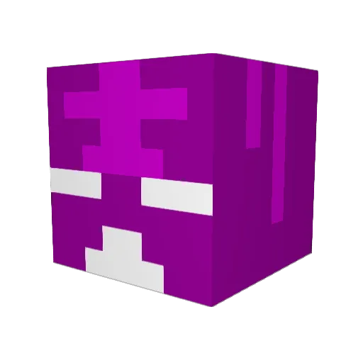 Tigarex Minecraft avatar head, 3D render