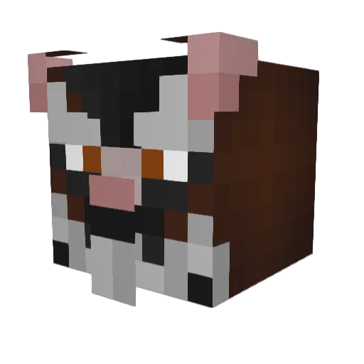 TigasNunes Minecraft avatar head, 3D render