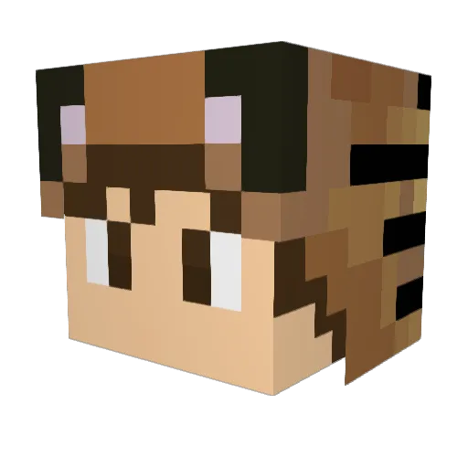 TigeRampage Minecraft avatar head, 3D render