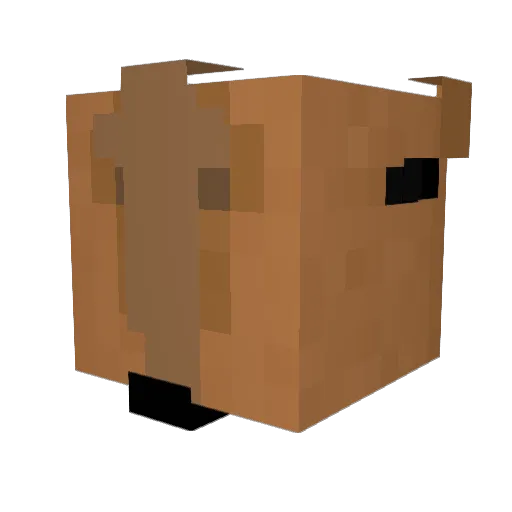 Tige_z Minecraft avatar head, 3D render