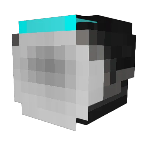 Tiger0305 Minecraft avatar head, 3D render