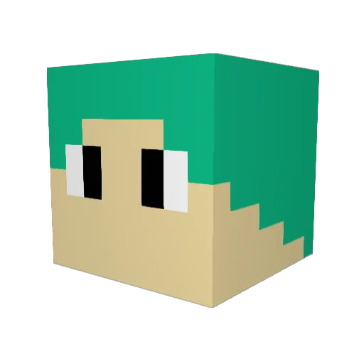 Tiger06 Minecraft avatar head, 3D render