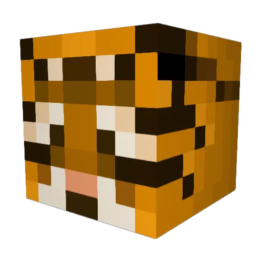 Tiger17052002 Minecraft avatar head, 3D render