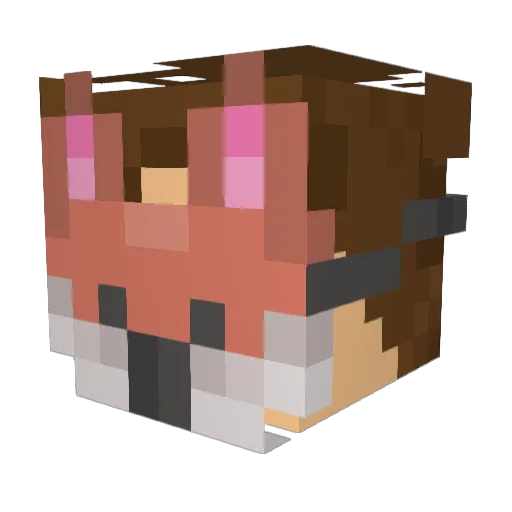 Tiger1J Minecraft avatar head, 3D render