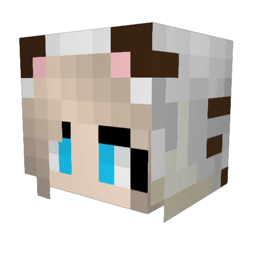 Tiger209 Minecraft avatar head, 3D render