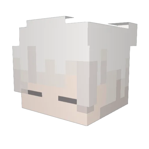 Tiger5865 Minecraft avatar head, 3D render