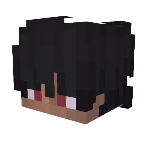 Tiger77_ Minecraft avatar head, 3D render