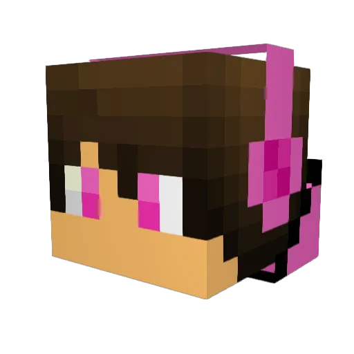 Tiger805 Minecraft avatar head, 3D render
