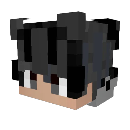 Tiger8764 Minecraft avatar head, 3D render