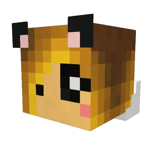 Tiger878 Minecraft avatar head, 3D render