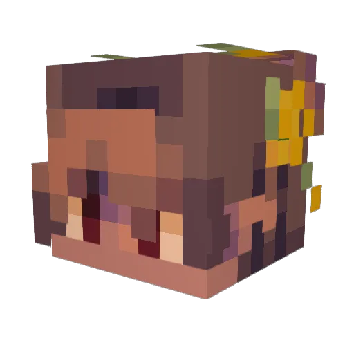 Tiger99wolf Minecraft avatar head, 3D render