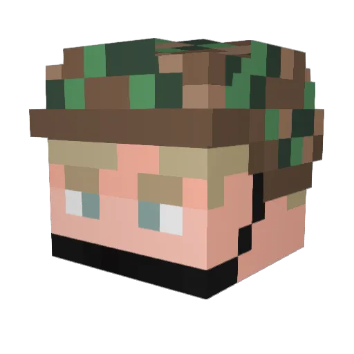 TigerAce823 Minecraft avatar head, 3D render