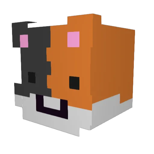 TigerBarnes Minecraft avatar head, 3D render