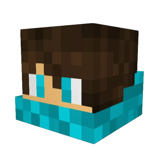 TigerBoy4212 Minecraft avatar head, 3D render