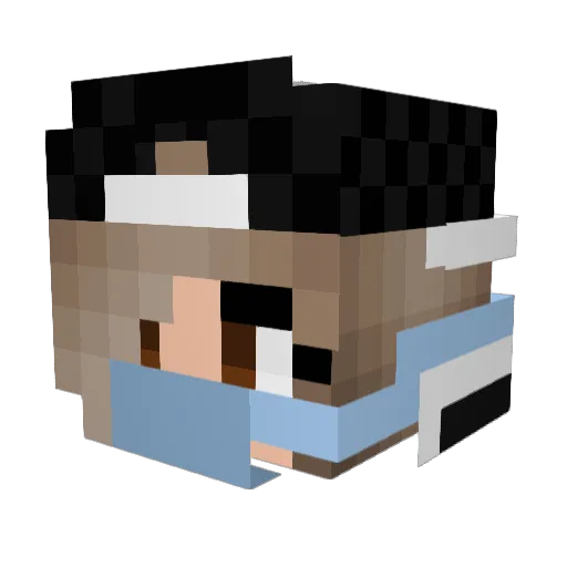 TigerChamp106 Minecraft avatar head, 3D render