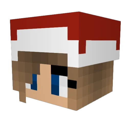 TigerCraft08 Minecraft avatar head, 3D render