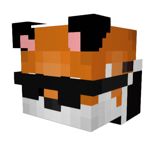 TigerDude Minecraft avatar head, 3D render