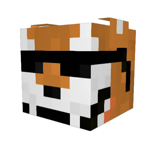 TigerEnzo Minecraft avatar head, 3D render