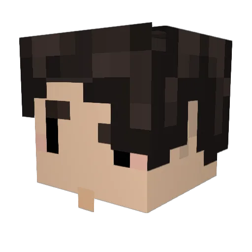 TigerGamer134 Minecraft avatar head, 3D render