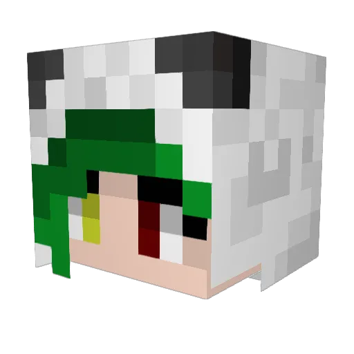 TigerGamer32 Minecraft avatar head, 3D render