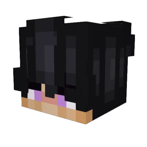 TigerIsSIGMA Minecraft avatar head, 3D render