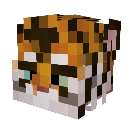TigerJames Minecraft avatar head, 3D render