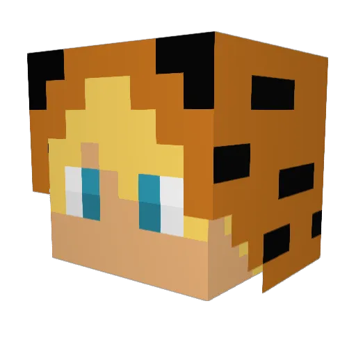 TigerKidYT Minecraft avatar head, 3D render