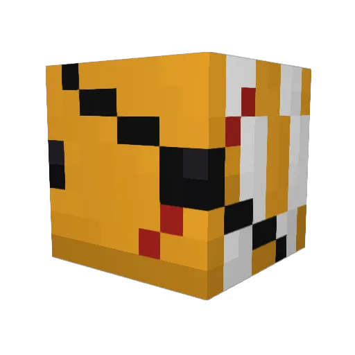 TigerKiller29 Minecraft avatar head, 3D render