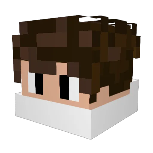 TigerKiller7 Minecraft avatar head, 3D render