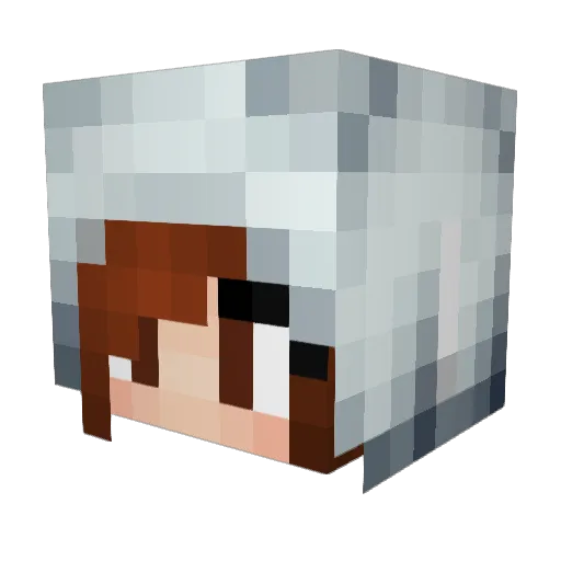 TigerLilly_1 Minecraft avatar head, 3D render