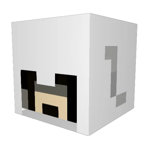 TigerMafia1966 Minecraft avatar head, 3D render