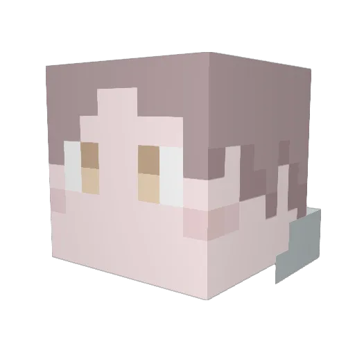 TigerNatter929 Minecraft avatar head, 3D render
