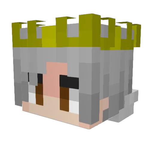 TigerPaw1105 Minecraft avatar head, 3D render