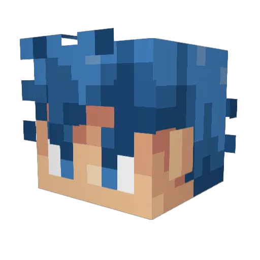 TigerRaad Minecraft avatar head, 3D render