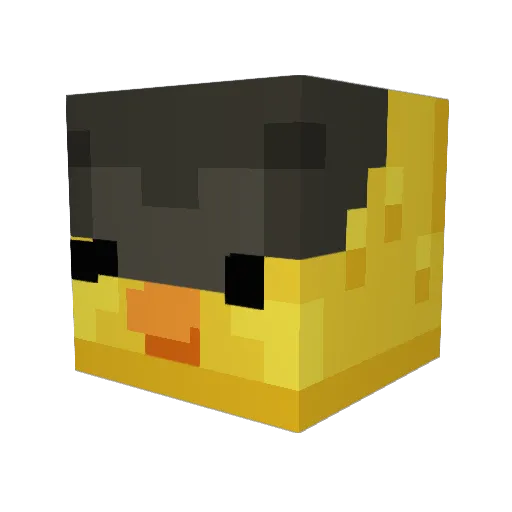 TigerSalami Minecraft avatar head, 3D render