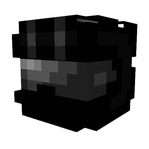 TigerX55 Minecraft avatar head, 3D render