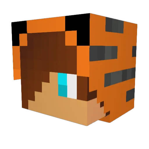 TigerZe17 Minecraft avatar head, 3D render