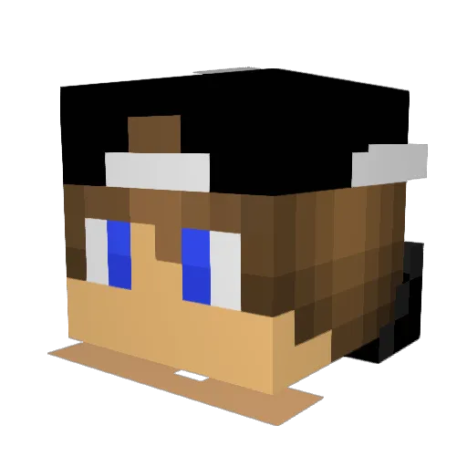 TigerZedd Minecraft avatar head, 3D render